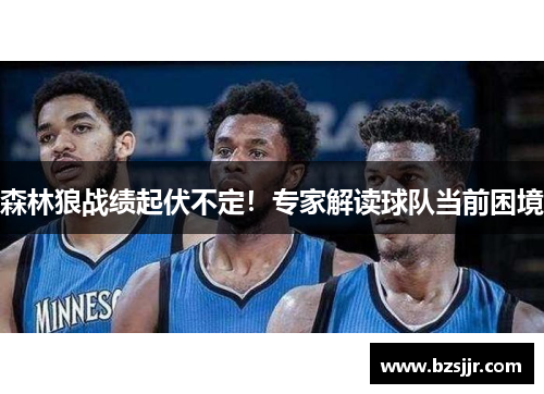 森林狼战绩起伏不定！专家解读球队当前困境