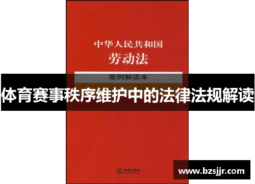 体育赛事秩序维护中的法律法规解读